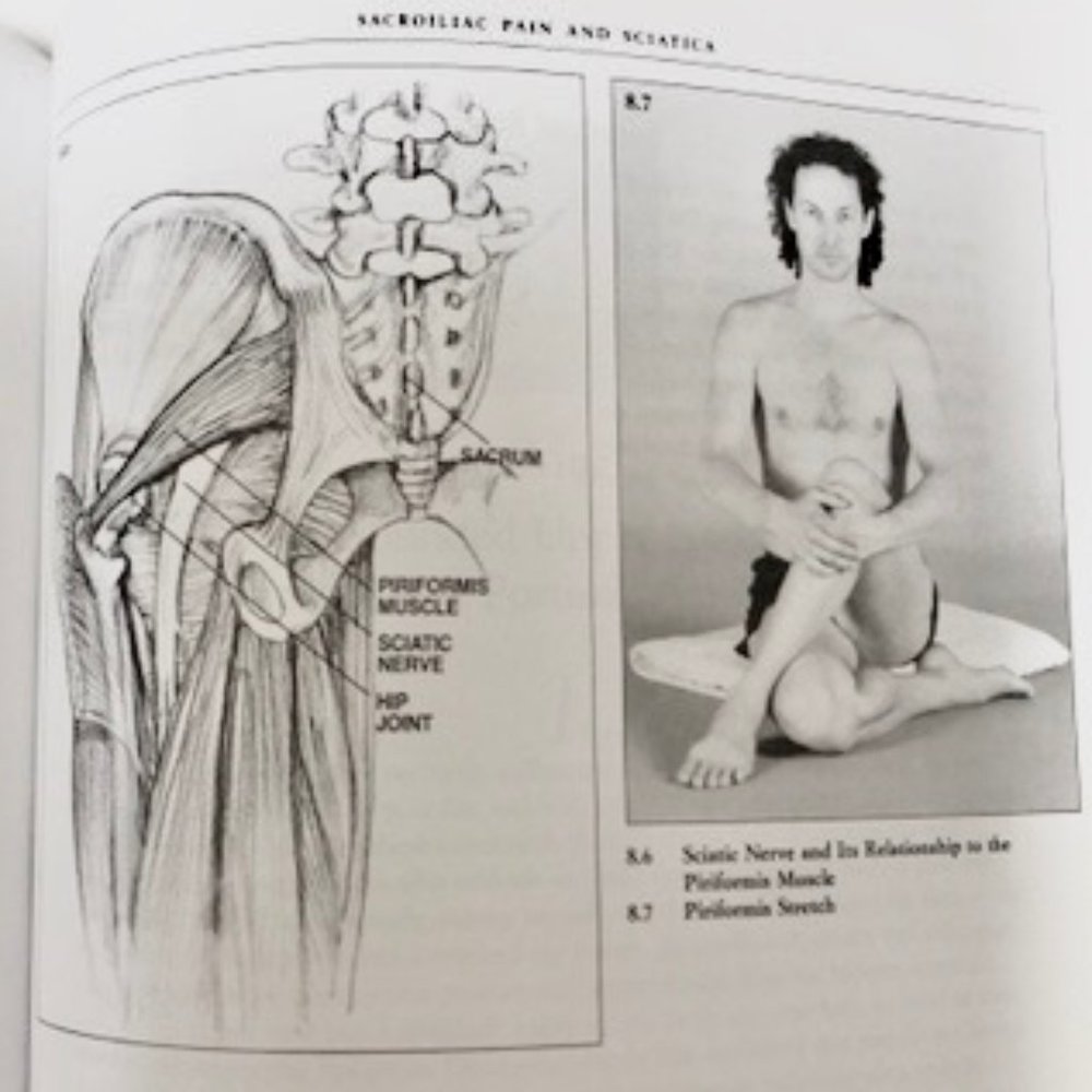 YOGA BOOK BACK CARE BASICS Mary Pullig Schatz NEW NWOT - Picture 6 of 7